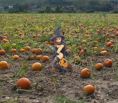 Elise the witch